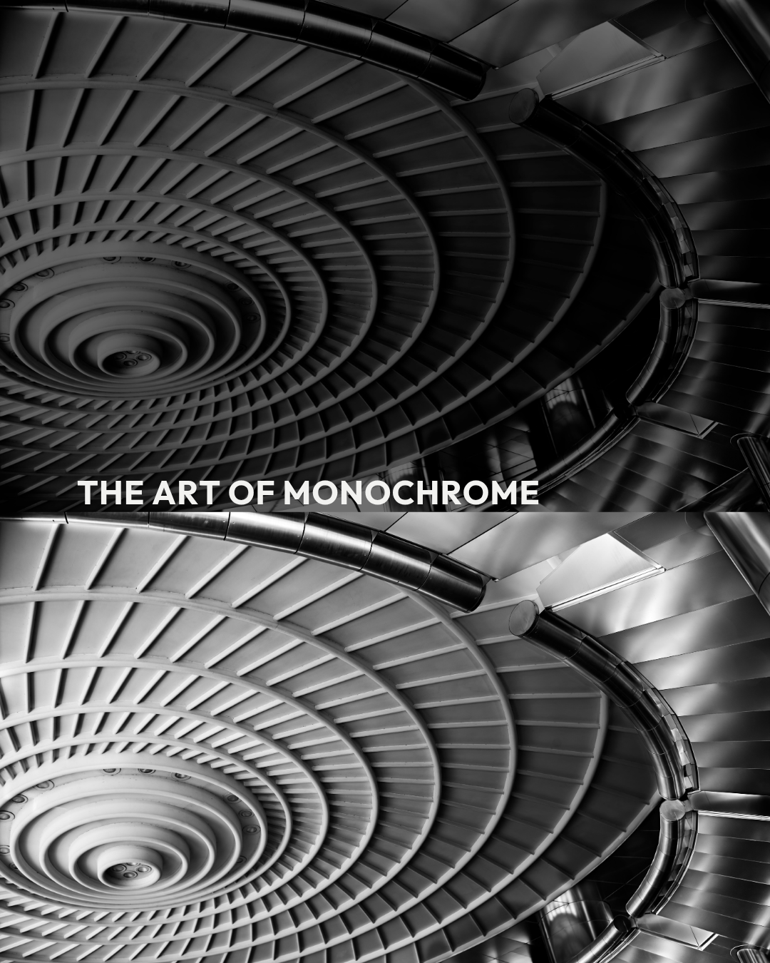 18 - 19 July | Leica Monochrom Journey - Mastering Black&White Photography