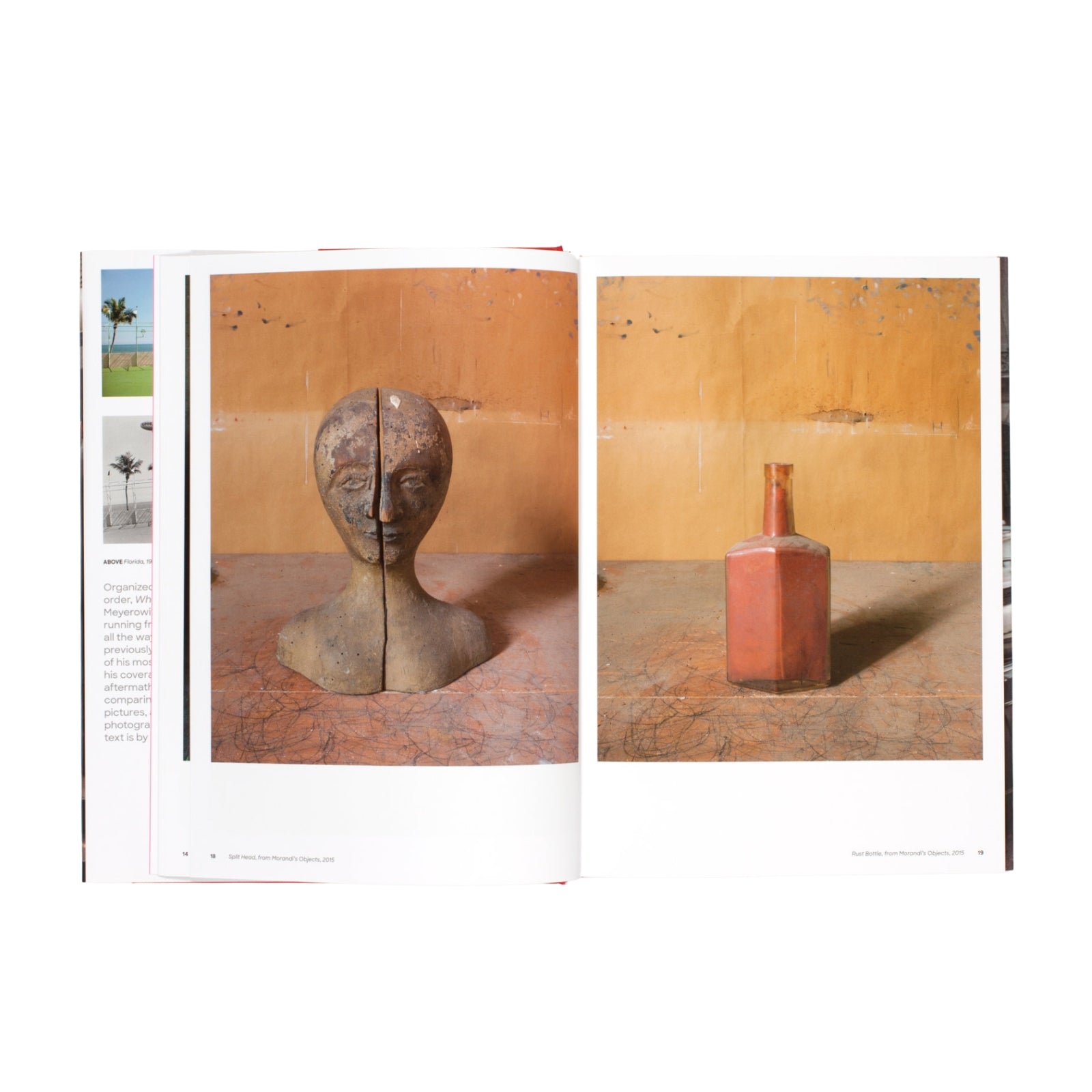 Where I Find Myself by Joel Meyerowitz