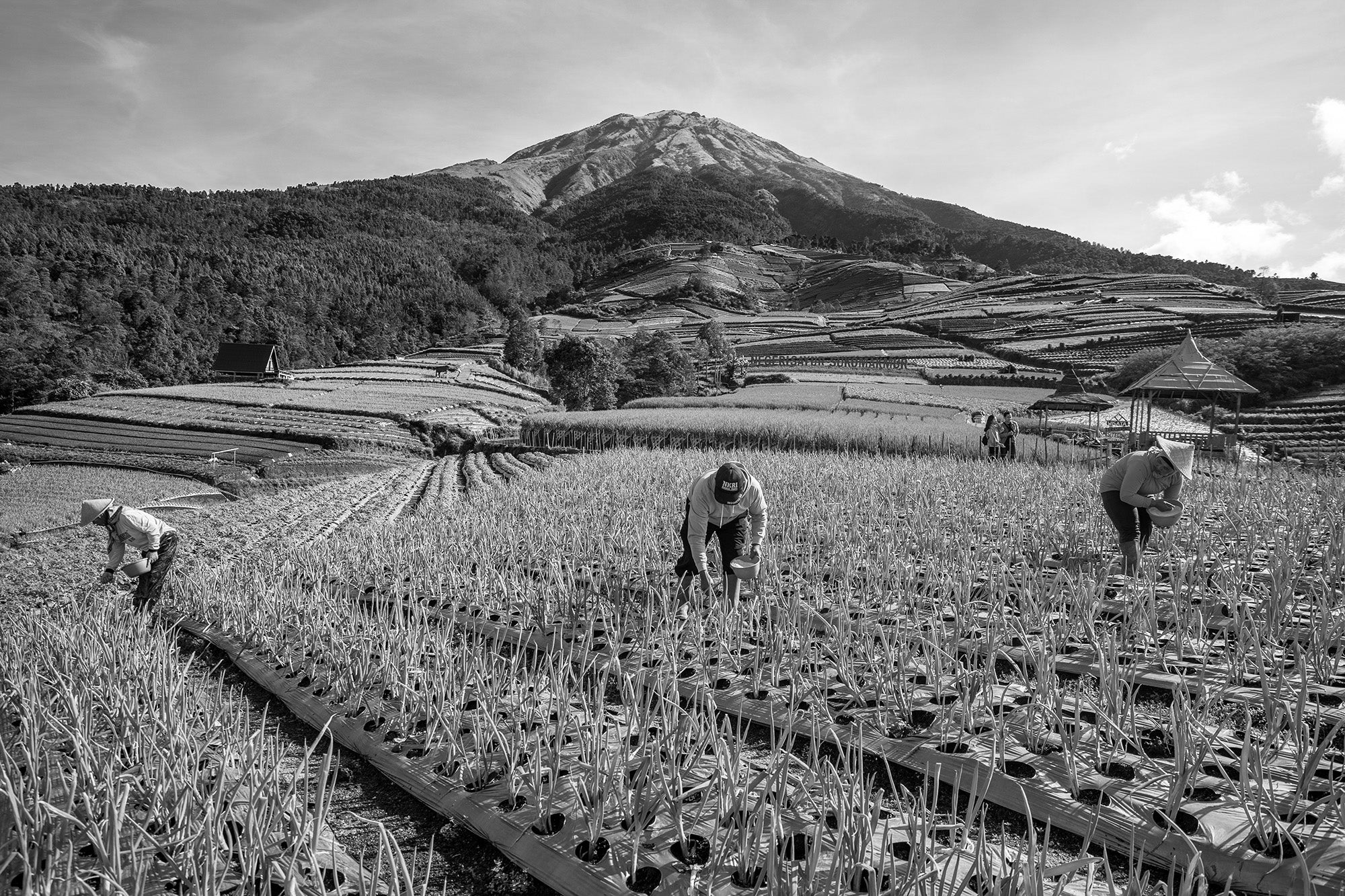 Travel With Leica - A Photographic Journey Through Java, Indonesia