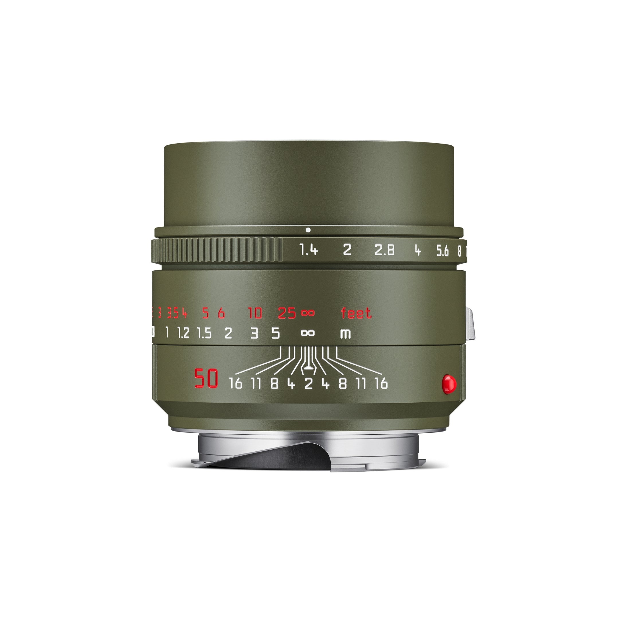 Summilux-M 50 f1.4 ASPH. Safari