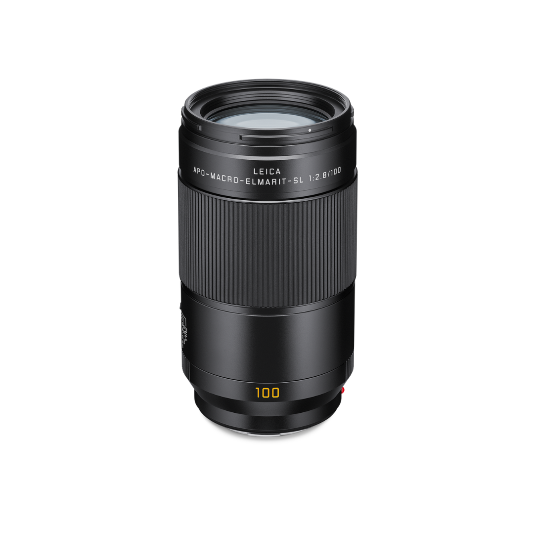 APO-Macro-Elmarit-SL 100 f/2.8