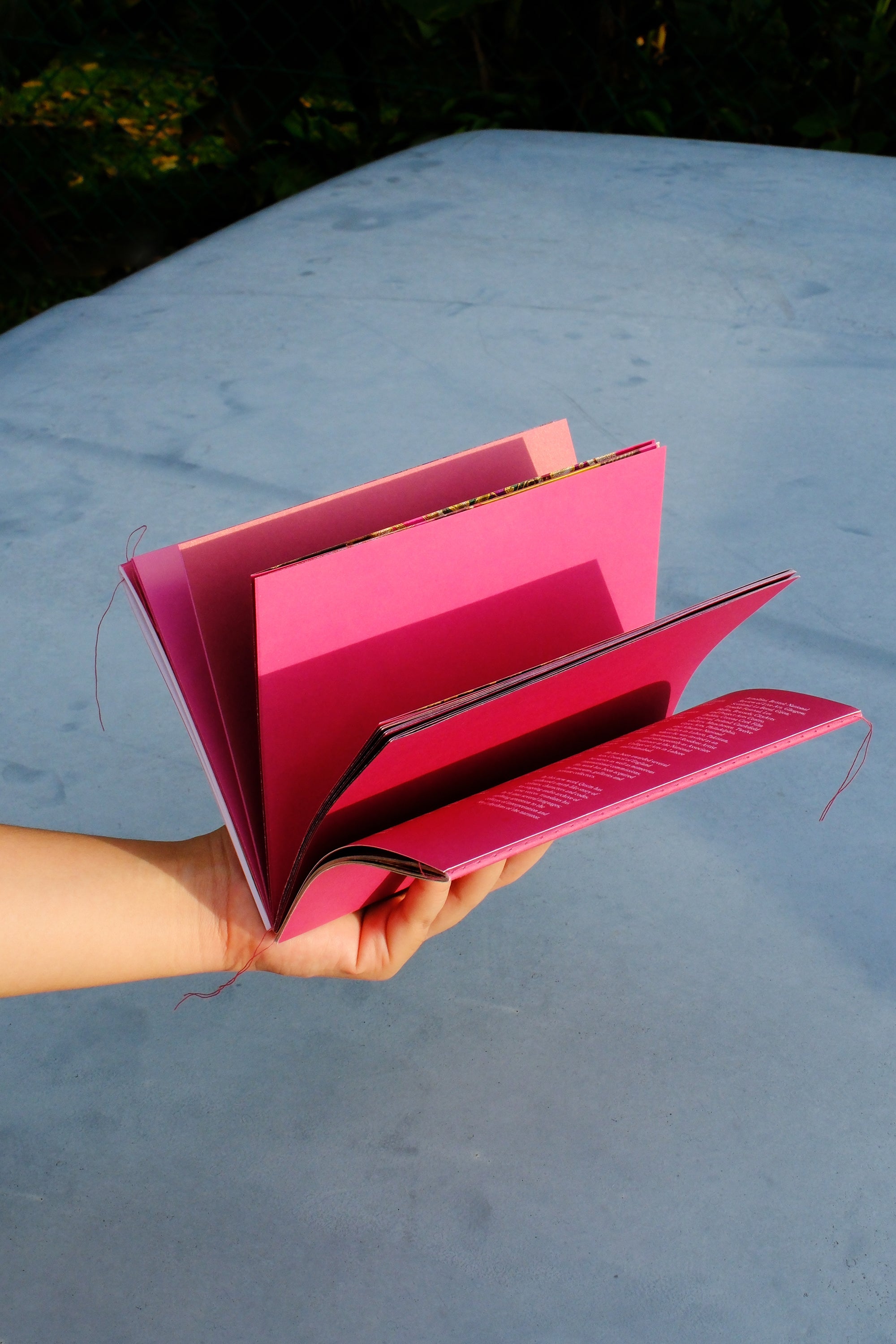 14 Nov | FROM PHOTOGRAPHS TO PUBLICATION: Editing, Sequencing, and Making a Photo Zine