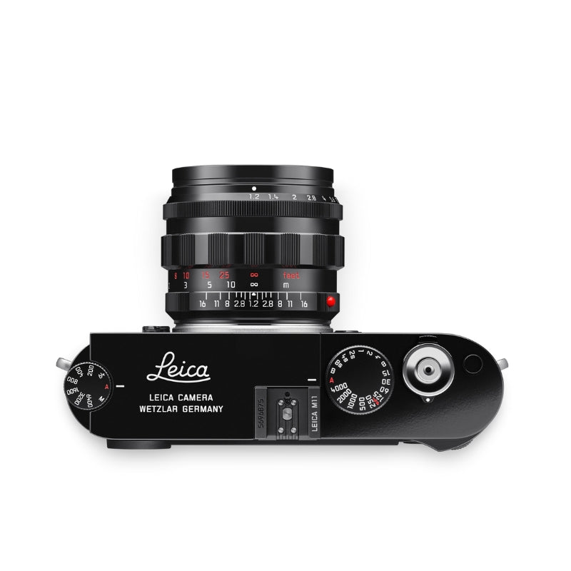 Noctilux-M 50 f1.2 ASPH., Glossy Black Paint Finish