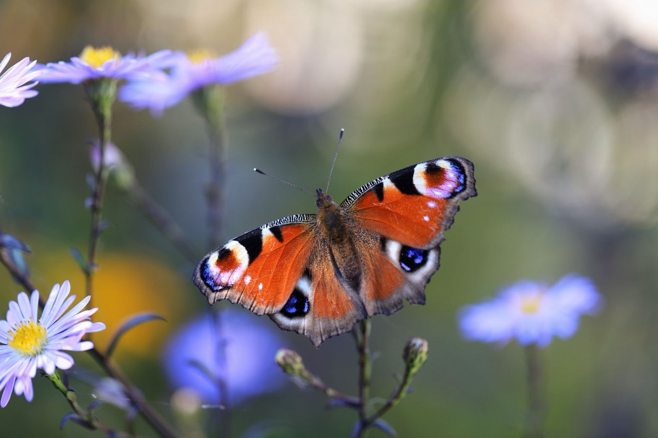 18 Oct | Mobile Photography Workshop: Textures & Details
