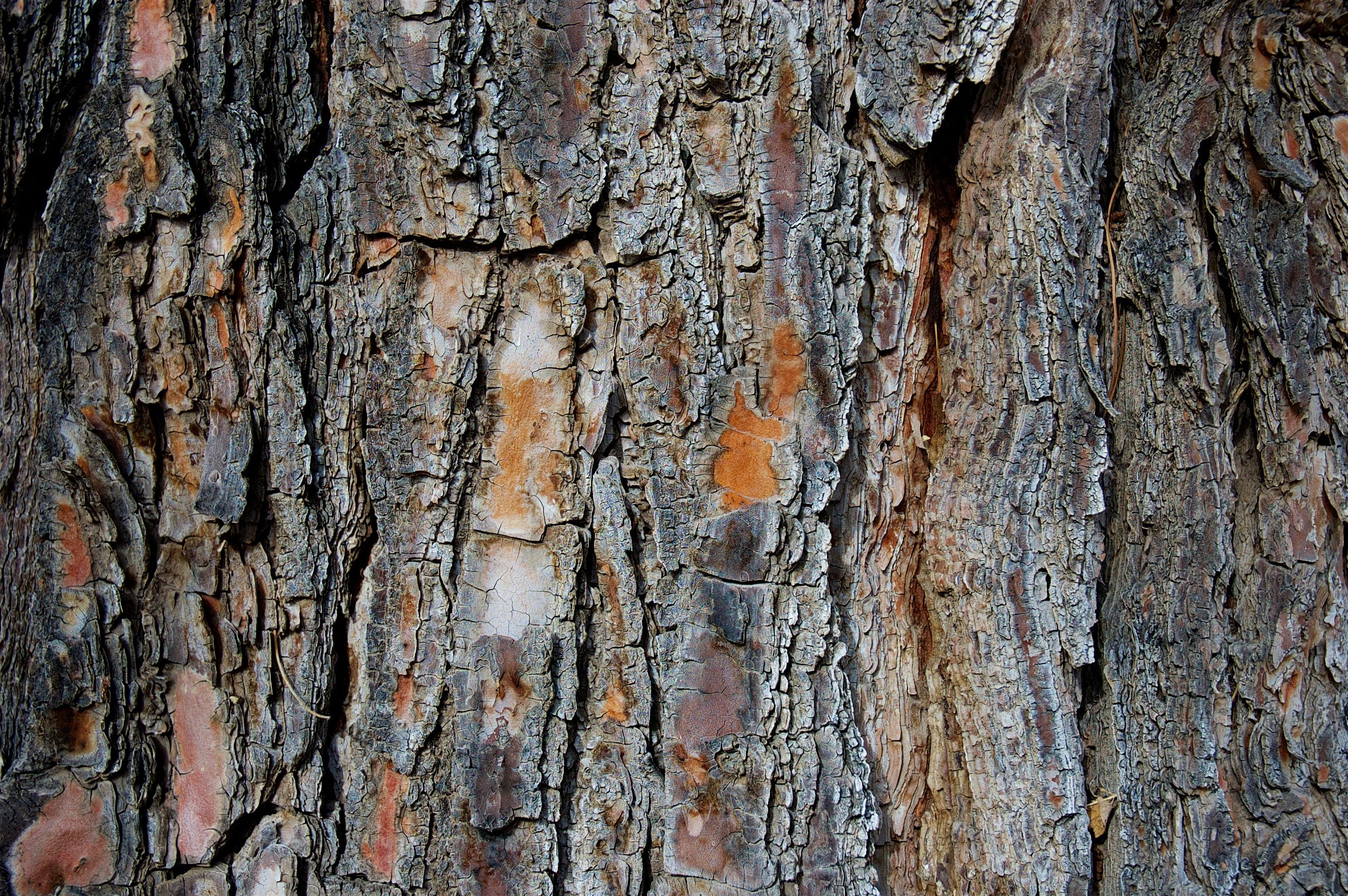 18 Oct | Mobile Photography Workshop: Textures & Details
