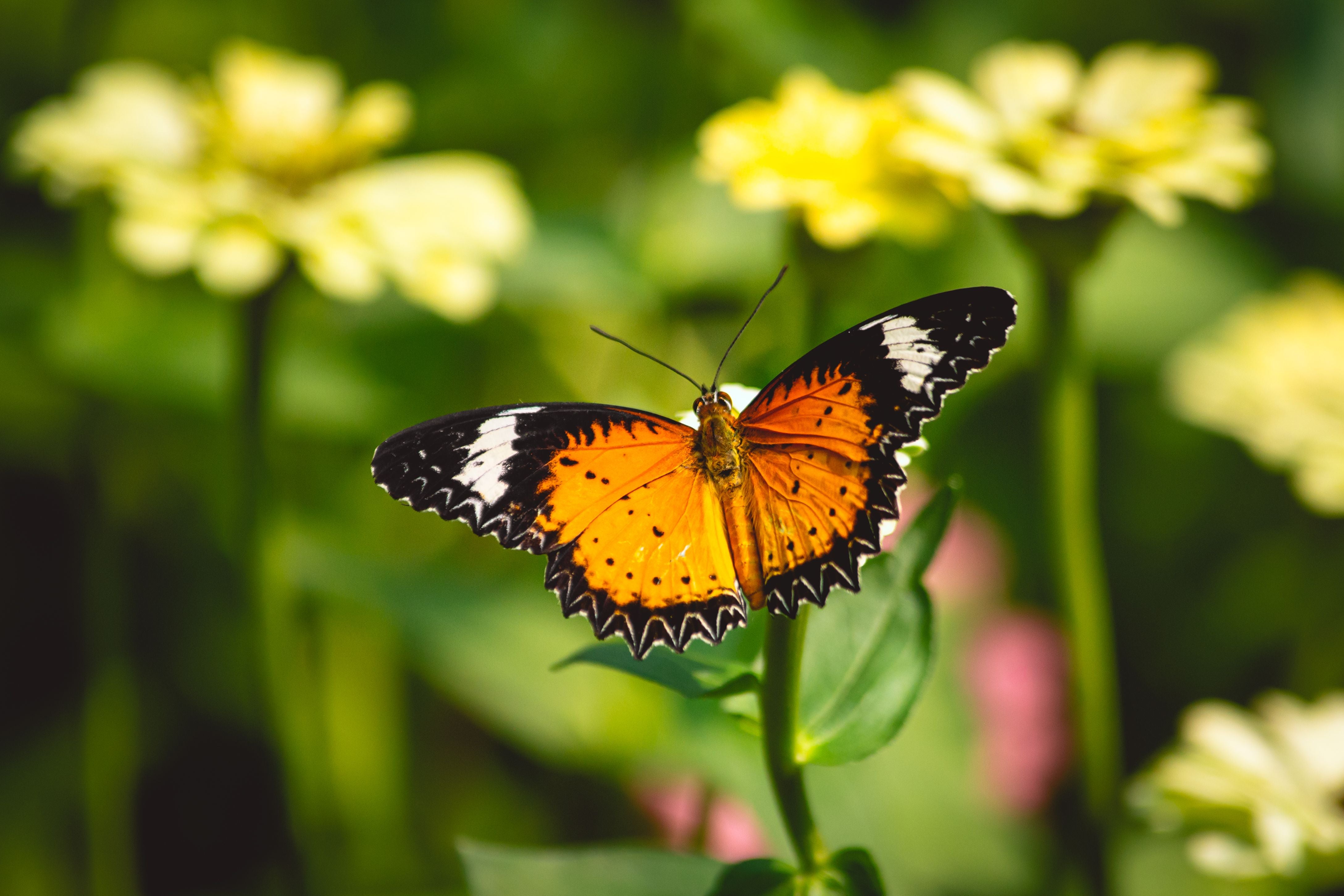 18 Oct | Mobile Photography Workshop: Textures & Details
