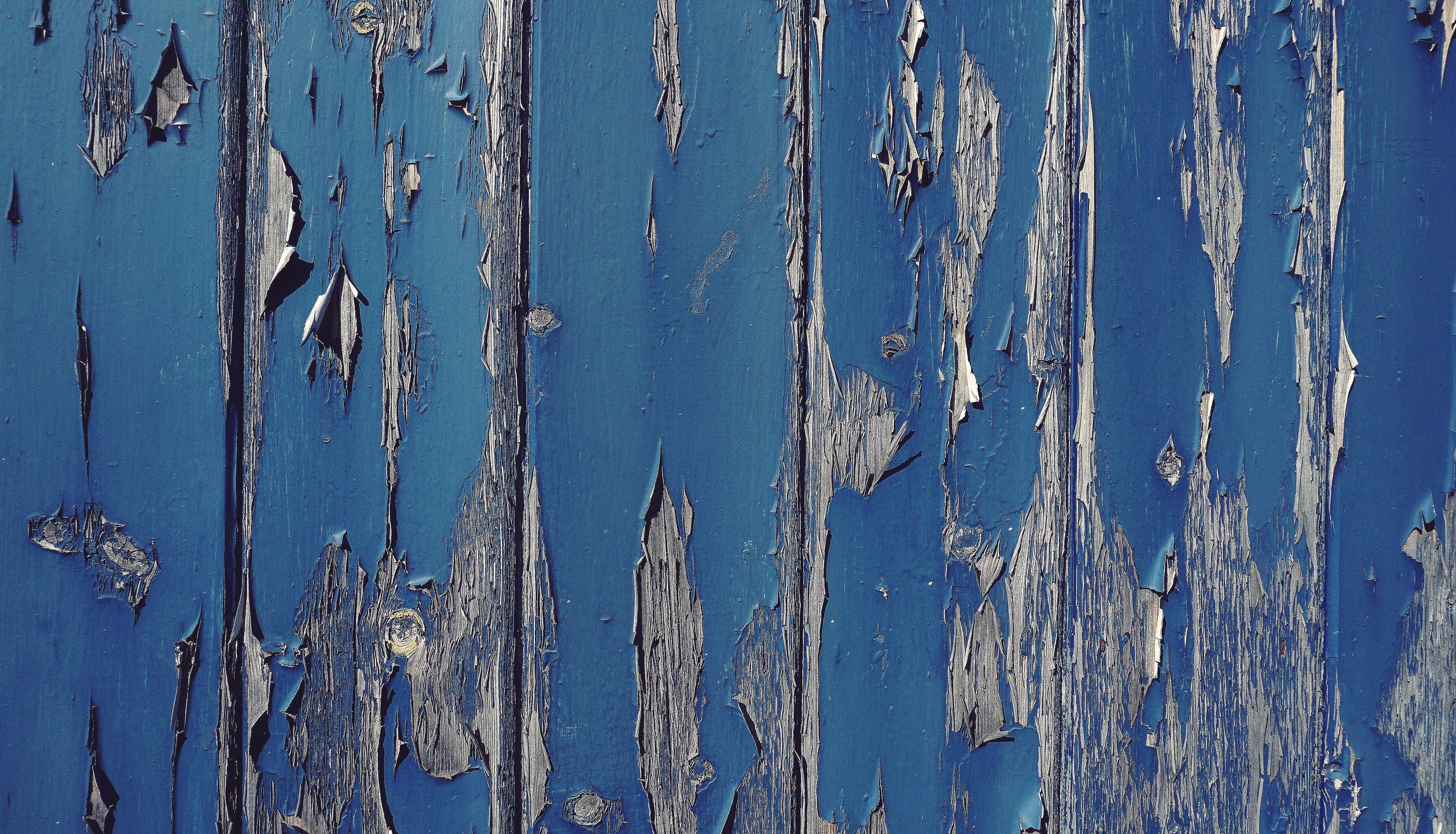 18 Oct | Mobile Photography Workshop: Textures & Details