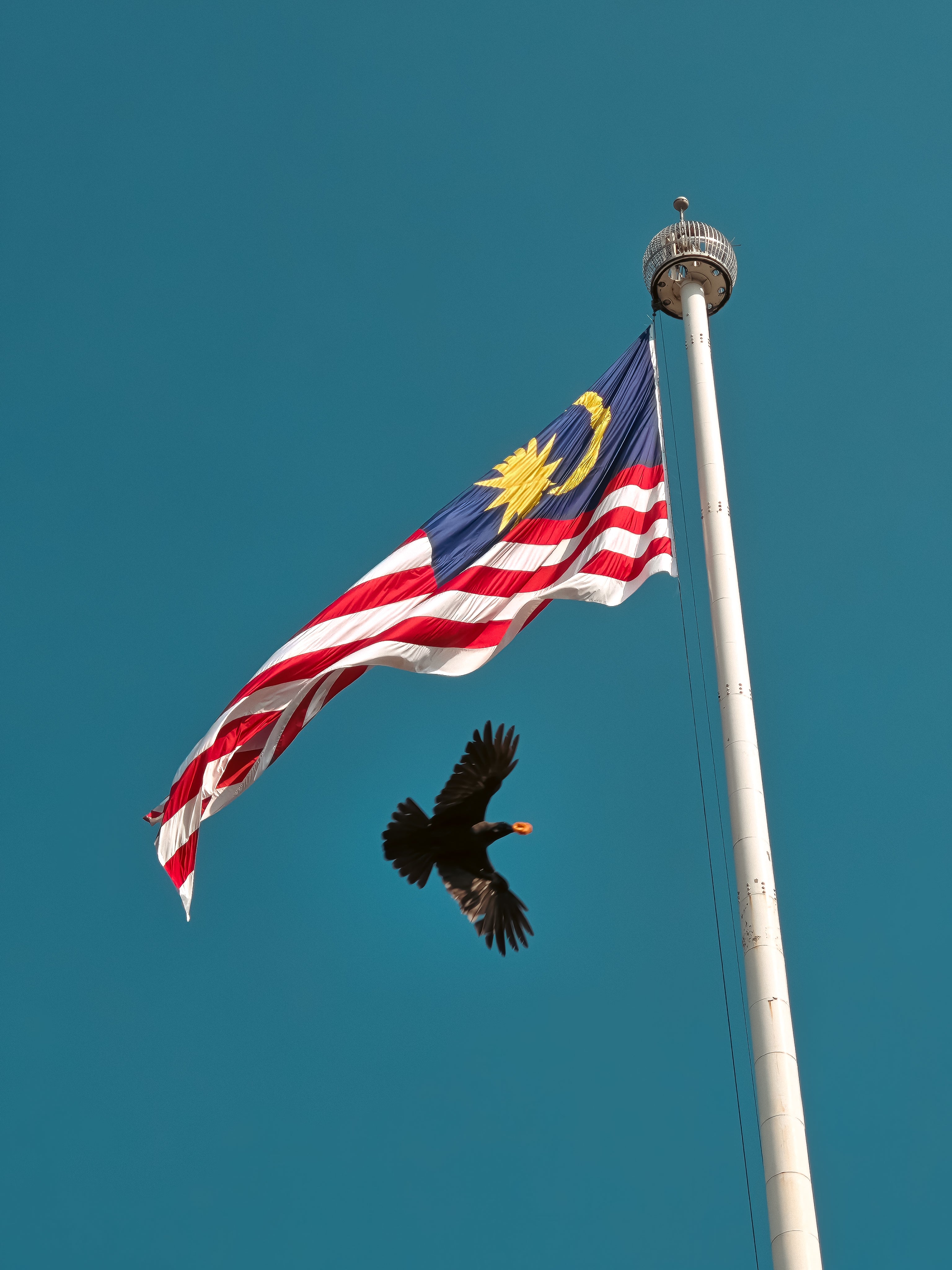 23 Aug | Mobile Photography Workshop: Merdeka Photowalk