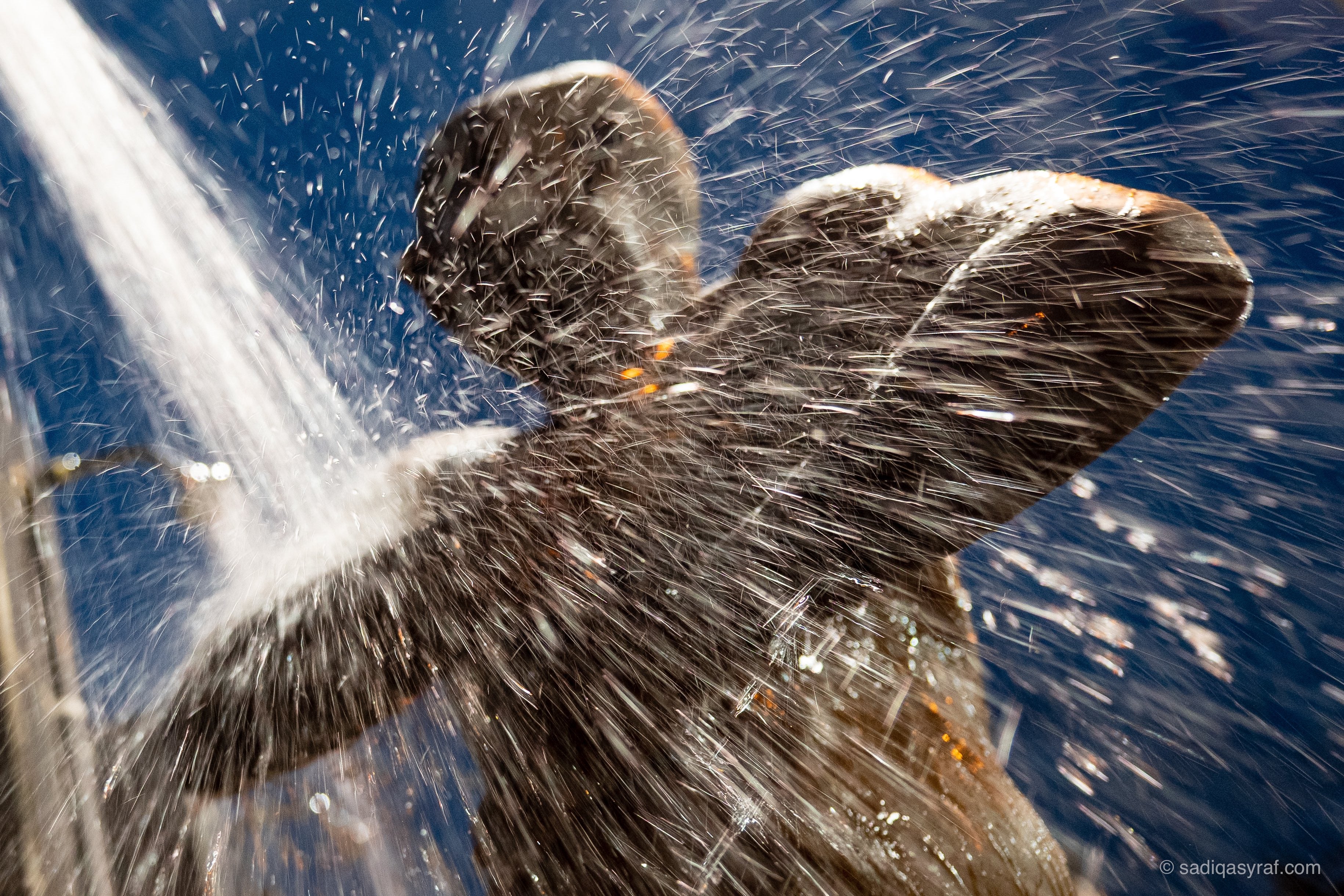 1 Feb | Leica Explore: Thaipusam Festival with Sadiq Asyraf