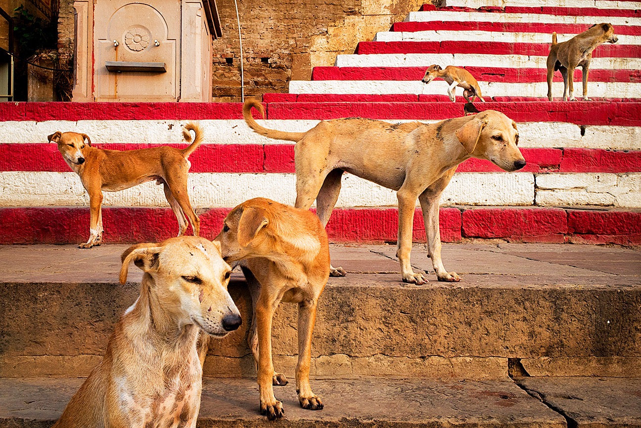 TRAVEL WITH LEICA: EXCLUSIVE INDIA WORKSHOP TOUR BY VINEET VOHRA