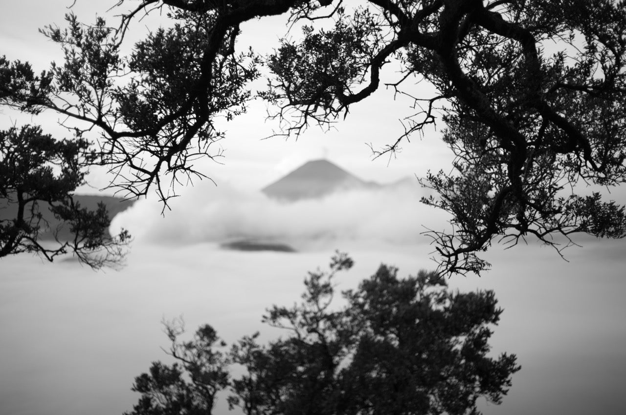 [Sold Out] 26 - 29 Sep | Travel with Leica: Bromo in Mono with Adam Seow