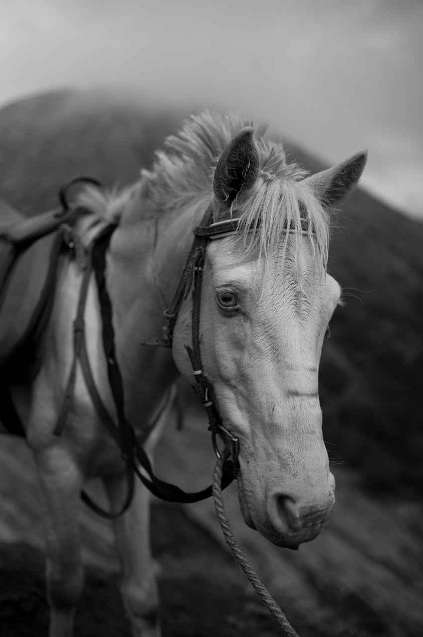 20 June | Leica Monochrom Journey - Introduction to Black&White Photography