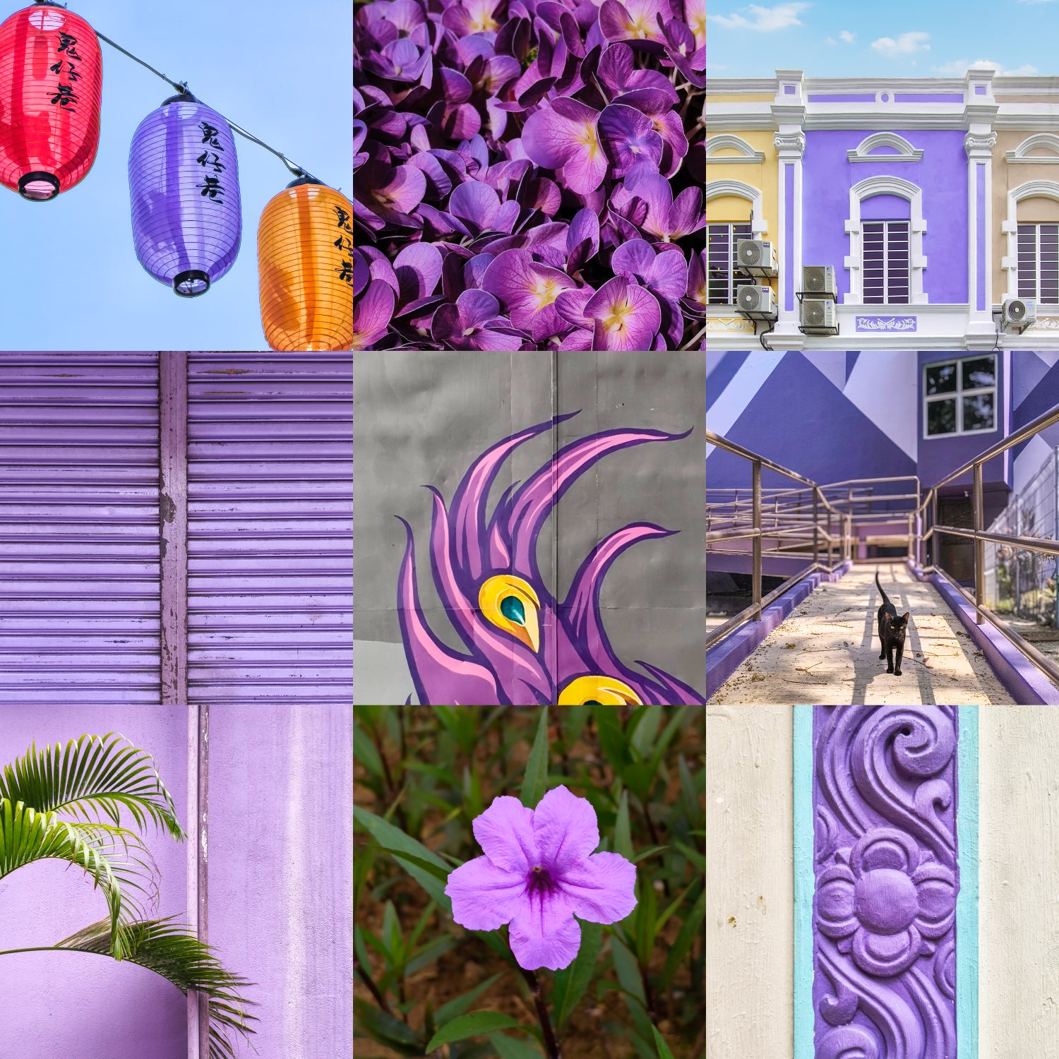 26 July | Mobile Photography Workshop: Colour Challenge
