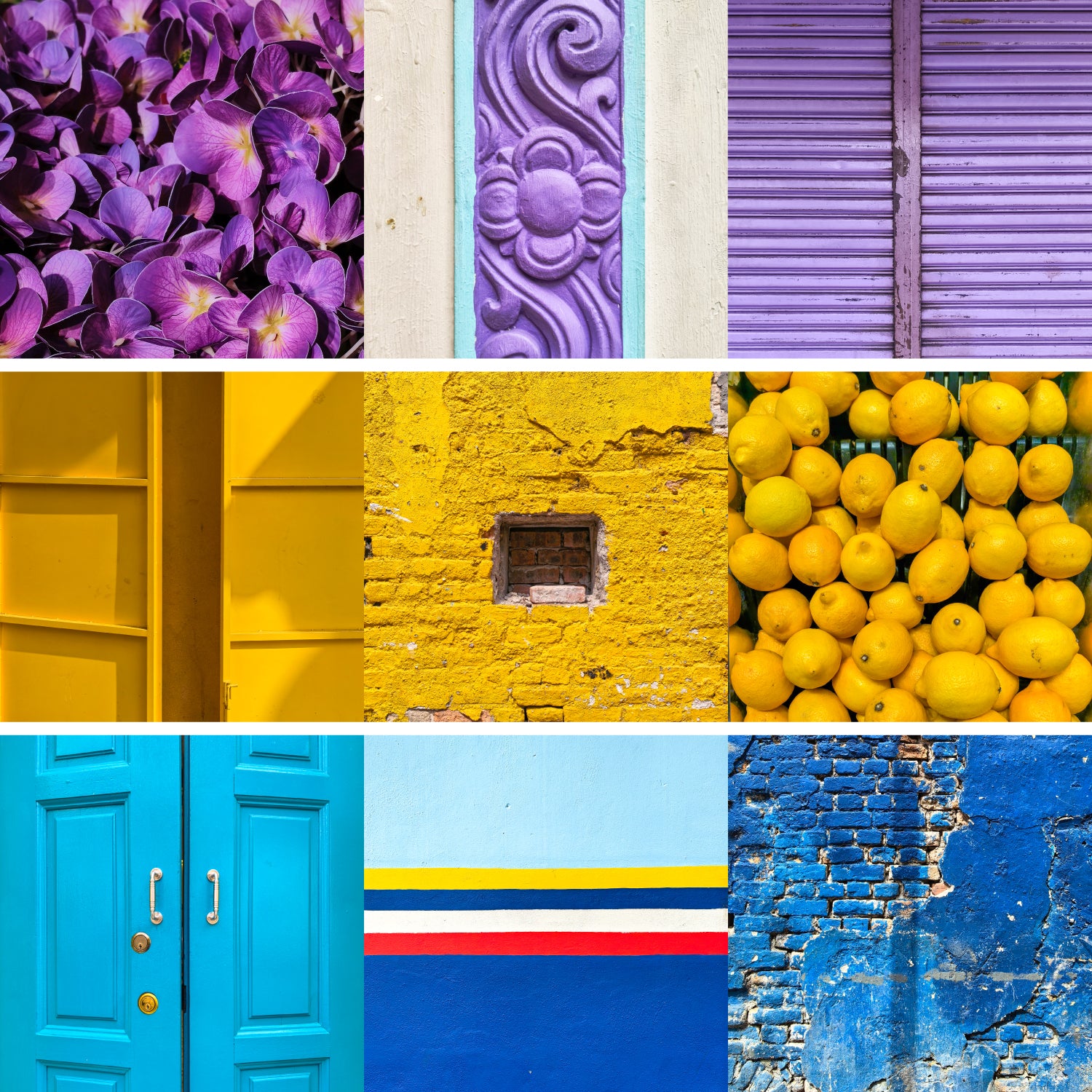 26 July | Mobile Photography Workshop: Colour Challenge