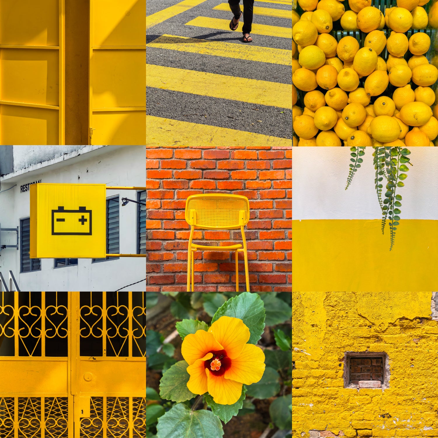 26 July | Mobile Photography Workshop: Colour Challenge